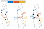 A Directional Vibrotactile Feedback Interface for Ergonomic Postural Adjustment